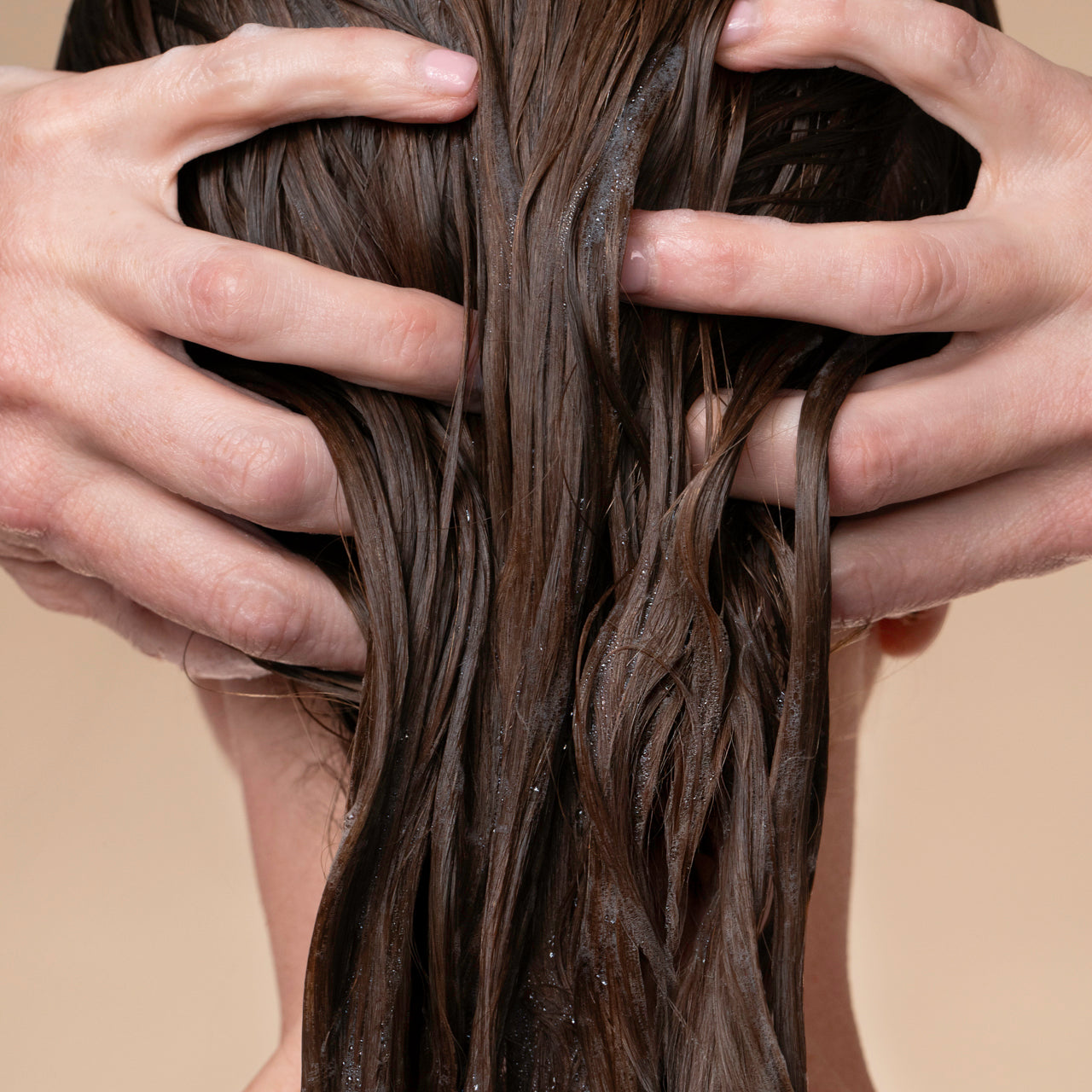 505886-505909-505923-505947-507873-505961-LiquidShampoo-Model-2-1280x1280px_ae5fd263-3751-4909-b1a0-f026c97d3bfe.jpg